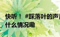快听！ #踩落叶的声音也是treetree的# 到底什么情况嘞