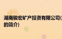 湖南骏宏矿产投资有限公司(关于湖南骏宏矿产投资有限公司的简介)