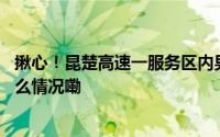 揪心！昆楚高速一服务区内男童瞬间被卷入车底…… 到底什么情况嘞