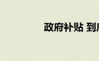 政府补贴 到底什么情况嘞
