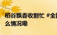 稻谷飘香收割忙 #全国秋收已过七成# 到底什么情况嘞