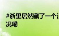 #浙里居然藏了一个江南威尼斯# 到底什么情况嘞
