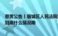 悬赏公告丨宿城区人民法院执行悬赏公告 2024年第103期 到底什么情况嘞