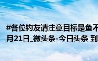#各位钓友请注意目标是鱼不是自己#_第1眼新闻_2024年10月21日_微头条-今日头条 到底什么情况嘞