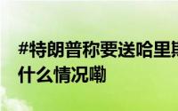 #特朗普称要送哈里斯汉堡当生日礼物# 到底什么情况嘞