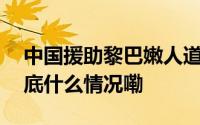中国援助黎巴嫩人道主义物资抵达贝鲁特 到底什么情况嘞