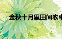 金秋十月里田间农事忙 到底什么情况嘞