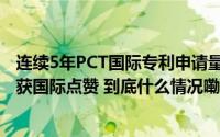 连续5年PCT国际专利申请量全球第一！  中国知识产权发展获国际点赞 到底什么情况嘞