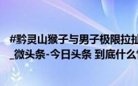 #黔灵山猴子与男子极限拉扯# _都市热报_2024年10月21日_微头条-今日头条 到底什么情况嘞