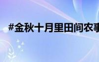 #金秋十月里田间农事忙# 到底什么情况嘞