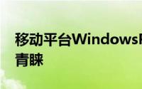 移动平台WindowsPhone7很难赢得市场的青睐