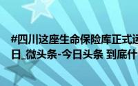 #四川这座生命保险库正式运行#_都市热报_2024年10月21日_微头条-今日头条 到底什么情况嘞