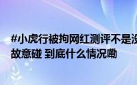 #小虎行被拘网红测评不是没事找事##网红测评不应借名气故意碰 到底什么情况嘞