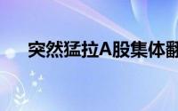突然猛拉A股集体翻红 到底什么情况嘞