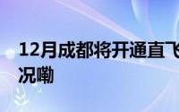 12月成都将开通直飞维也纳航线 到底什么情况嘞