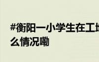#衡阳一小学生在工地坠亡亲属发声# 到底什么情况嘞