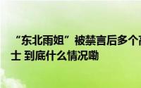 “东北雨姐”被禁言后多个高仿号组成“东北雨宙”业内人士 到底什么情况嘞