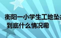 衡阳一小学生工地坠井身亡当地应急部门回应 到底什么情况嘞
