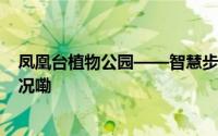 凤凰台植物公园——智慧步道 为健身“助跑” 到底什么情况嘞