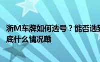 浙M车牌如何选号？能否选到纯数字？杭州交警权威解答 到底什么情况嘞