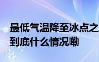 最低气温降至冰点之下 甘肃安定区叶片挂霜 到底什么情况嘞