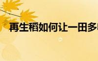 再生稻如何让一田多收？ 到底什么情况嘞