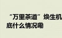 “万里茶道”焕生机 中俄人文交流谱新篇 到底什么情况嘞