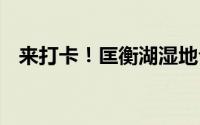 来打卡！匡衡湖湿地公园 到底什么情况嘞