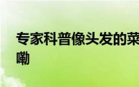 专家科普像头发的菜叫海发菜 到底什么情况嘞