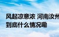 风起凉意浓 河南汝州行人厚装出行落叶满地 到底什么情况嘞