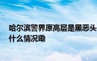 哈尔滨警界原高层是黑恶头目 官方征集违法犯罪线索 到底什么情况嘞