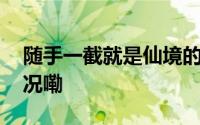 随手一截就是仙境的内蒙古雾凇 到底什么情况嘞