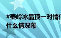 #秦岭冰晶顶一对情侣遇难救援者发声# 到底什么情况嘞
