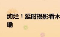 绚烂！延时摄影看木槿花绽放 到底什么情况嘞