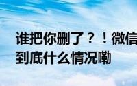 谁把你删了？！微信查单删功能开始内测！ 到底什么情况嘞