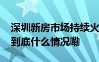 深圳新房市场持续火爆 平均每天认购382套 到底什么情况嘞