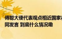 傅聪大使代表观点相近国家在联大三委就单边强制措施作共同发言 到底什么情况嘞