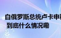 白俄罗斯总统卢卡申科表示决定参加总统选举 到底什么情况嘞