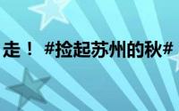 走！ #捡起苏州的秋# 
