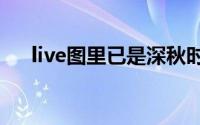 live图里已是深秋时刻 到底什么情况嘞