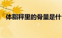 体脂秤里的骨量是什么？ 到底什么情况嘞