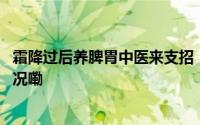 霜降过后养脾胃中医来支招！丨时令节气与健康 到底什么情况嘞