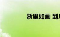 浙里如画 到底什么情况嘞