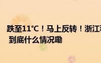跌至11℃！马上反转！浙江秋高气爽回归“潭美”有新消息 到底什么情况嘞