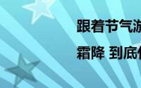 跟着节气游济宁|霜降 到底什么情况嘞