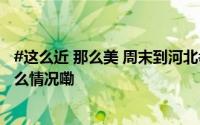 #这么近 那么美 周末到河北# ——邯郸 #广府古城# 到底什么情况嘞