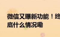 微信又曝新功能！终于能知道谁把你删了 到底什么情况嘞