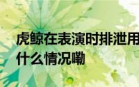 虎鲸在表演时排泄用力将粪水拍给观众 到底什么情况嘞