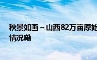秋景如画～山西82万亩原始次生林的秋景有多美 到底什么情况嘞
