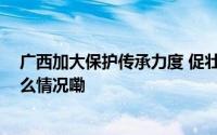 广西加大保护传承力度 促壮族天琴艺术绽放新光彩 到底什么情况嘞